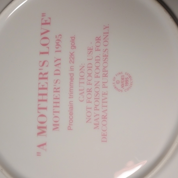 Avon Rare 1995 Vintage Mother's Day Plate in Original Box Rare Oversized Plate - Picture 3 of 10